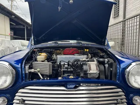 Rover Mini