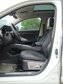 Wey VV6
