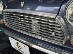 Rover Mini