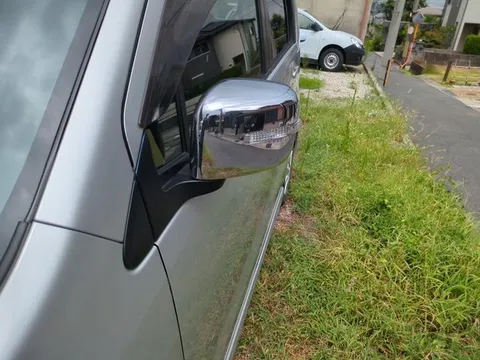 Suzuki Wagon R Stingray