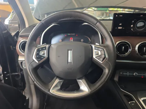 Wey VV6