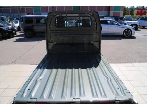 Suzuki Carry Track