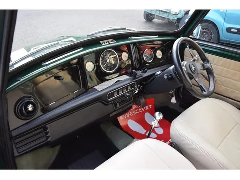 Rover Mini