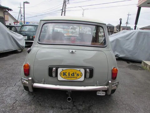 Rover Mini