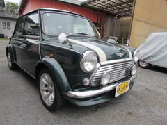 Rover Mini