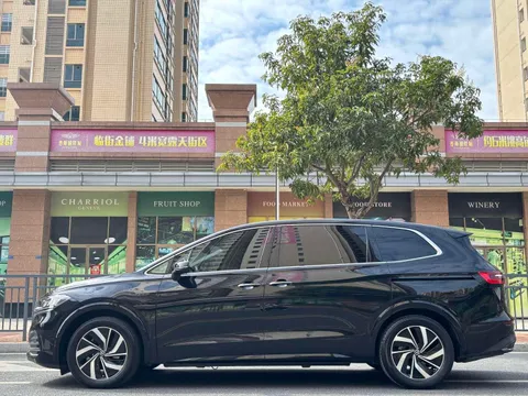 Volkswagen Viloran