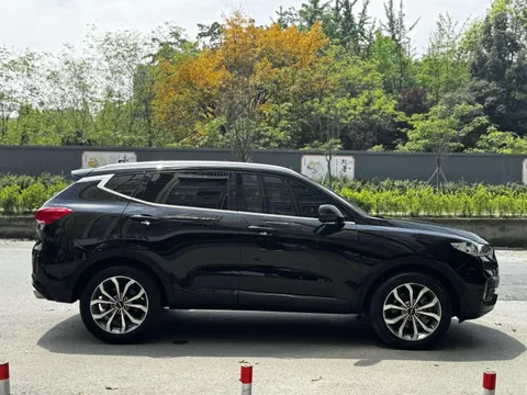 Wey VV6