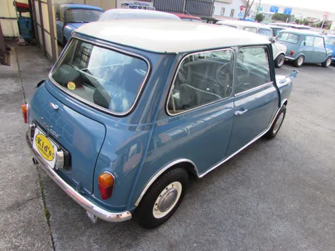 Rover Mini