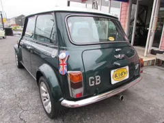 Rover Mini