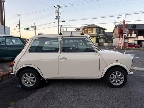 Rover Mini