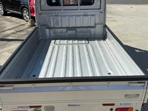Suzuki Carry Track