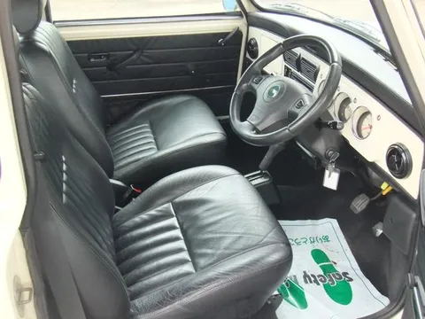 Rover Mini