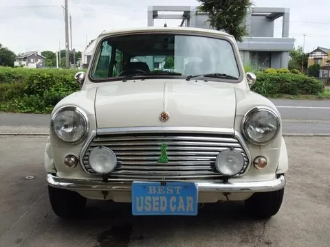 Rover Mini
