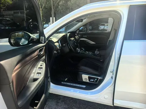 Wey VV6