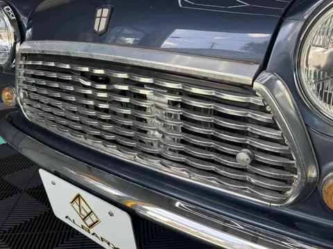 Rover Mini