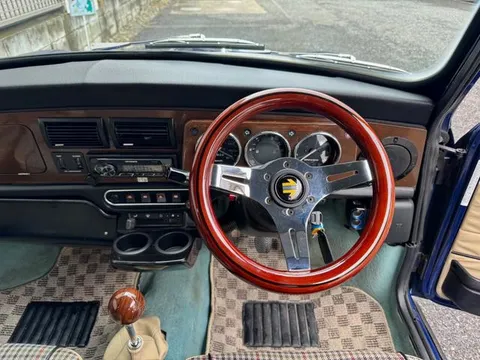 Rover Mini