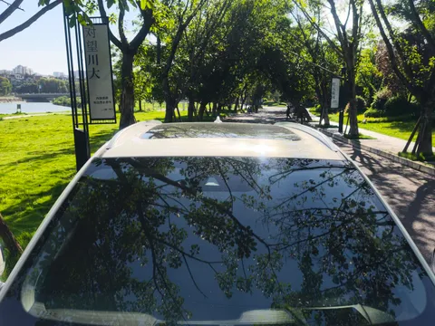 Hongqi HS5
