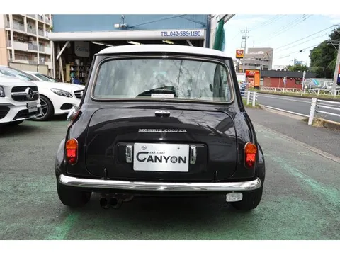 Rover Mini