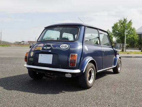 Rover Mini