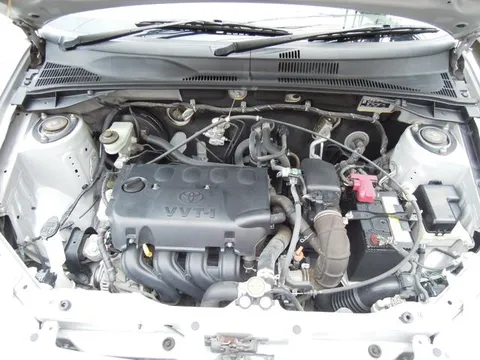Toyota Succeed Wagon