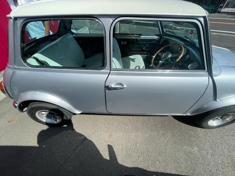 Rover Mini