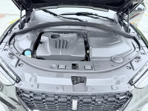 Wey VV7