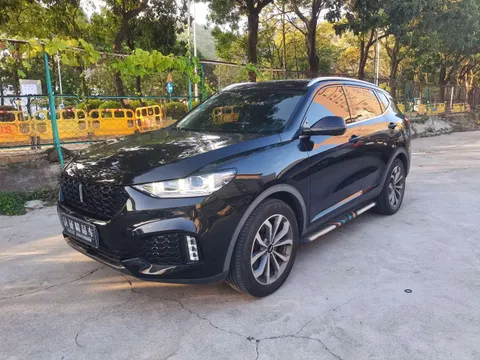 Wey VV6
