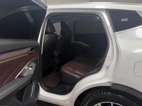 Wey VV6