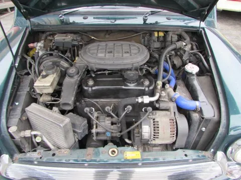 Rover Mini