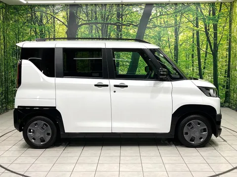 Mitsubishi Delica Mini