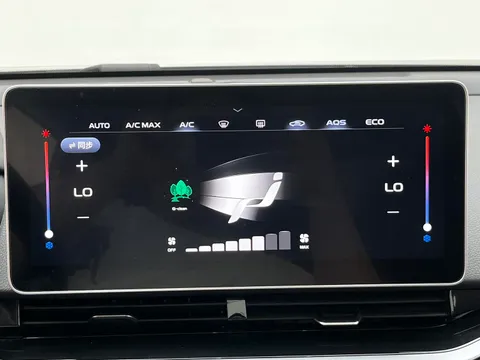 Geely Preface (Xingrui)