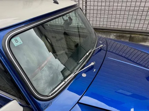 Rover Mini