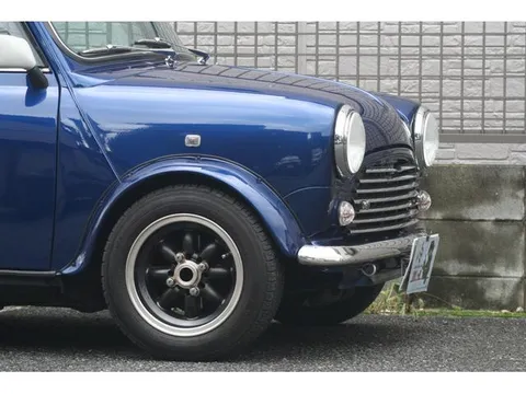Rover Mini