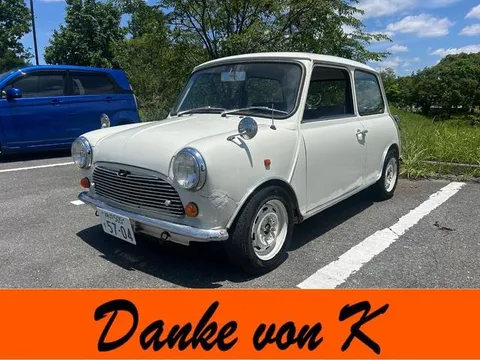 Rover Mini