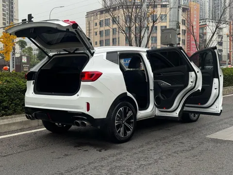 Wey VV6