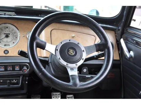 Rover Mini