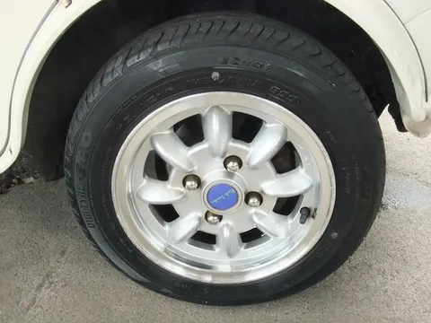 Rover Mini