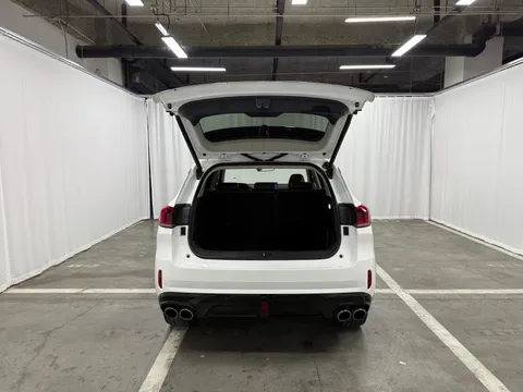Wey VV6