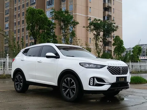 Wey VV6