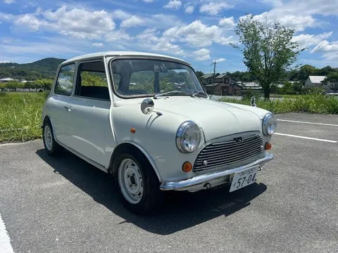 Rover Mini