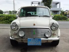 Rover Mini