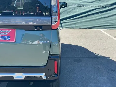 Mitsubishi Delica Mini
