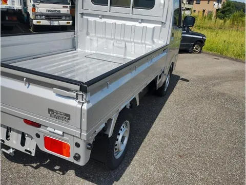 Suzuki Carry Track