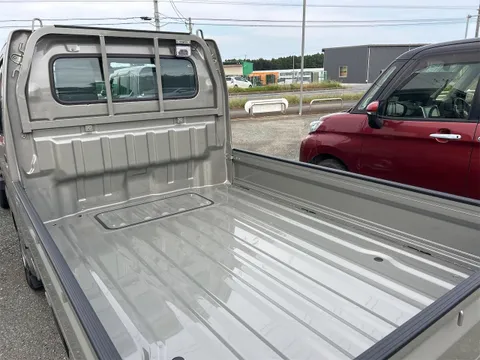 Suzuki Carry Track