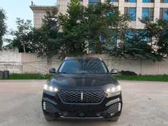 Wey VV6