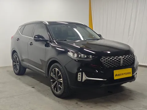 Wey VV6