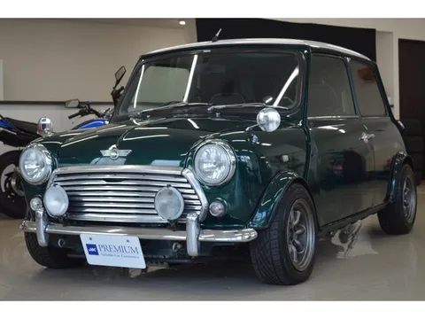 Rover Mini